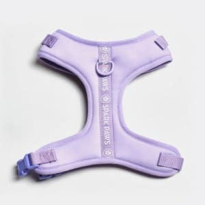 Frenchie harness