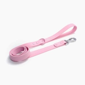 Pink Frenchie Leash
