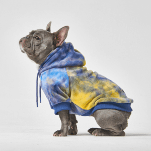 baby Frenchie clothes