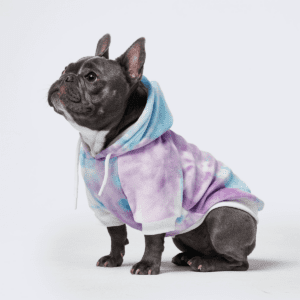 French bulldog puppy clothes